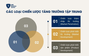 Các loại chiến lược tăng trưởng tập trung