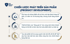 Chiến lược phát triển sản phẩm (Product Development)