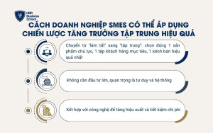 Cách doanh nghiệp SMEs có thể áp dụng chiến lược tăng trưởng tập trung hiệu quả