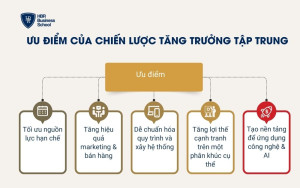 Ưu điểm của chiến lược tăng trưởng tập trung