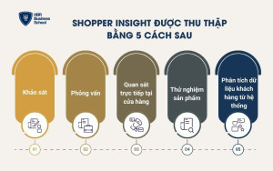Shopper insight được thu thập bằng 5 cách sau