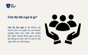 Chế độ đãi ngộ là gì?