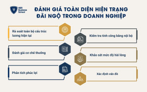 Đánh giá toàn diện hiện trạng đãi ngộ trong doanh nghiệp