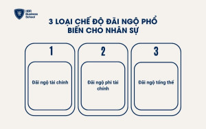 3 loại chế độ đãi ngộ phổ biến cho nhân sự
