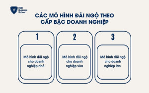 Các mô hình đãi ngộ theo cấp bậc doanh nghiệp
