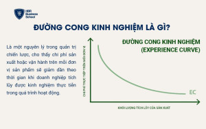 Đường cong kinh nghiệm là gì?