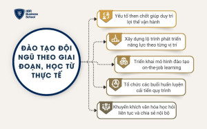 Đào tạo đội ngũ theo giai đoạn, học từ thực tế