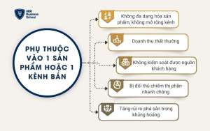 Phụ thuộc vào 1 sản phẩm hoặc 1 kênh bán