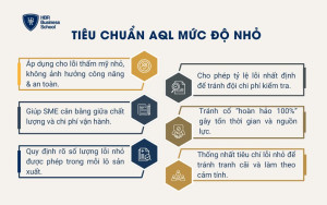 Tiêu chuẩn AQL mức độ nhỏ
