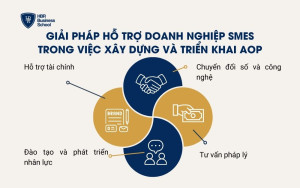 Giải pháp hỗ trợ doanh nghiệp SMEs trong việc xây dựng và triển khai AOP