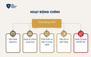 Hoạt động chính