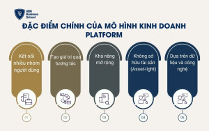 Đặc điểm chính của mô hình kinh doanh platform