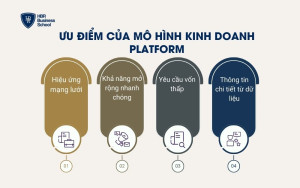 Ưu điểm của mô hình kinh doanh platform