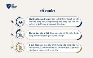 Tổ chức