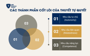 Các thành phần cốt lõi của Thuyết tự quyết