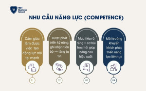 Nhu cầu năng lực (Competence)