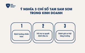 Ý nghĩa 3 chỉ số TAM SAM SOM trong kinh doanh