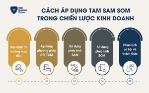 Cách áp dụng TAM SAM SOM trong chiến lược kinh doanh