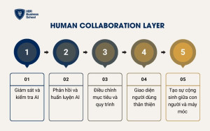 Human Collaboration Layer