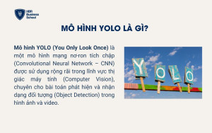 Mô hình YOLO là gì?