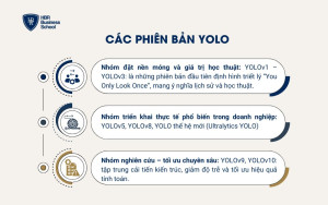 Các phiên bản YOLO