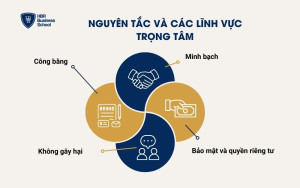 Nguyên tắc và các lĩnh vực trọng tâm