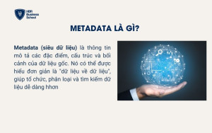 Metadata là gì?
