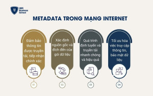 Metadata trong mạng internet