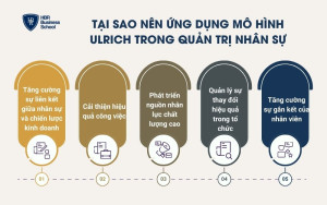 Tại sao doanh nghiệp nên ứng dụng mô hình nhân sự Ulrich trong quản trị nhân sự