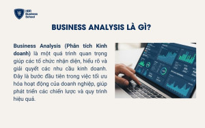 Business Analysis là gì?