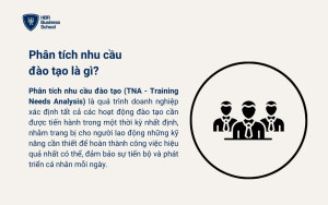 Phân tích nhu cầu đào tạo là gì?
