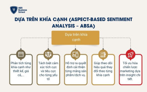 Dựa trên khía cạnh (Aspect-Based Sentiment Analysis – ABSA)