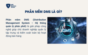 Phần mềm DMS là gì?