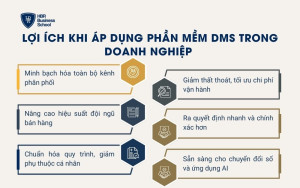 Lợi ích khi áp dụng phần mềm DMS trong doanh nghiệp