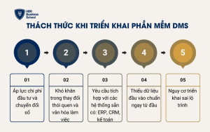 Thách thức khi triển khai phần mềm DMS