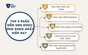 Top 5 phần mềm DMS được ứng dụng nhất hiện nay