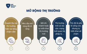 Mở rộng thị trường