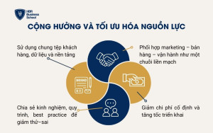 Cộng hưởng và tối ưu hóa nguồn lực