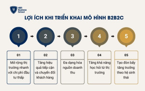 Lợi ích khi triển khai mô hình B2B2C