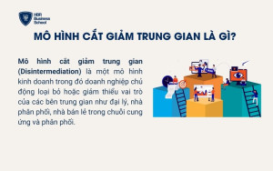 Mô hình cắt giảm trung gian là gì?