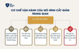 Cơ chế vận hành của mô hình cắt giảm trung gian
