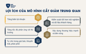 Lợi ích của mô hình cắt giảm trung gian