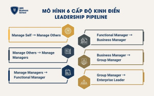 Mô hình 6 cấp độ kinh điển Leadership Pipeline