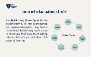 Chu kỳ bán hàng là gì?