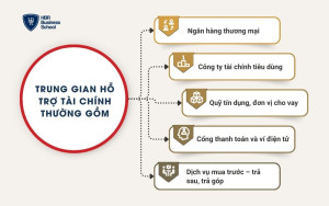 Trung gian hỗ trợ tài chính