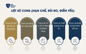 Liệt kê Cons (hạn chế, rủi ro, điểm yếu)