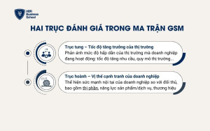 Hai trục đánh giá trong ma trận GSM