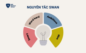 Phân tích chi tiết 4 yếu tố trong nguyên tắc SWAN