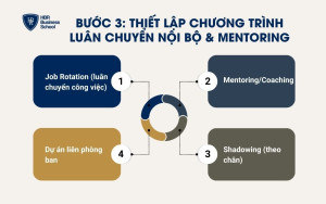 Bước 3: Thiết lập chương trình luân chuyển nội bộ & mentoring