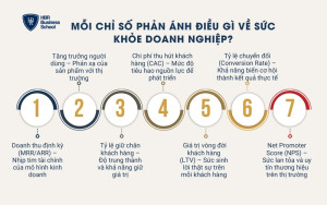 Mỗi chỉ số phản ánh điều gì về sức khỏe doanh nghiệp?
